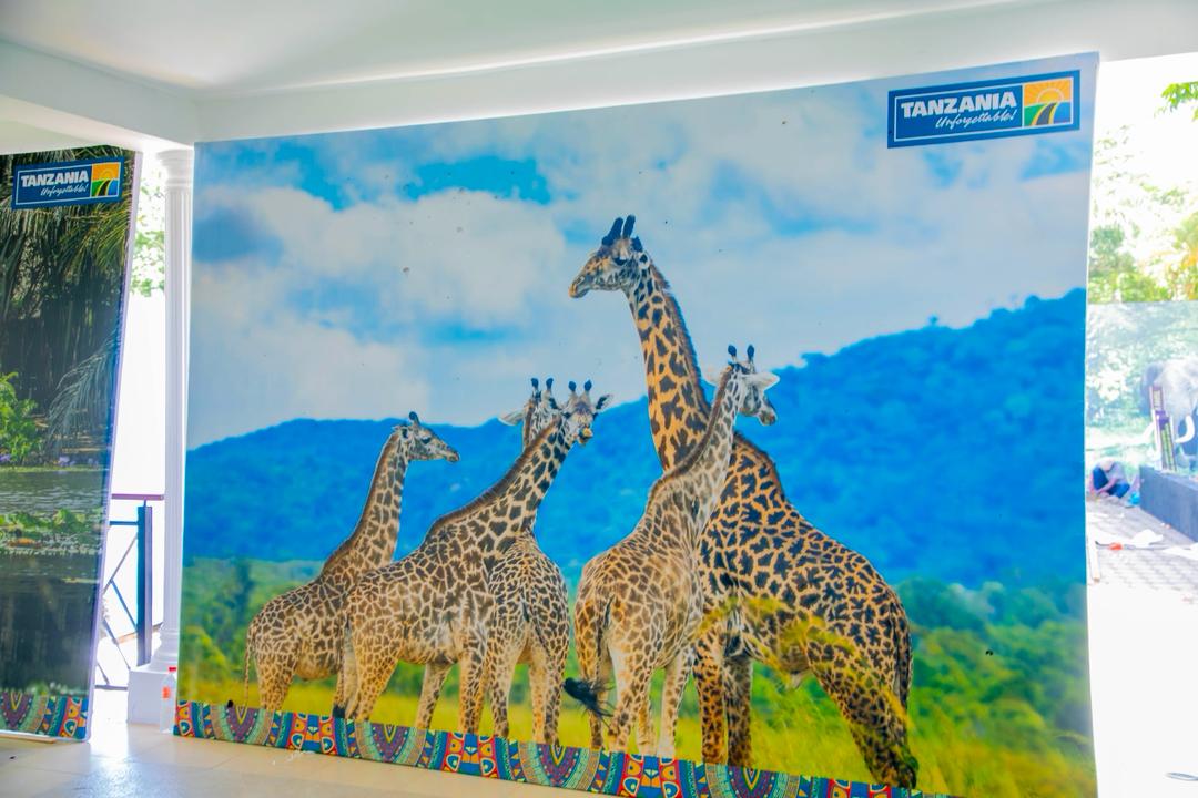 WhatsApp Image 2026-01-31 at 1.10.44 PM